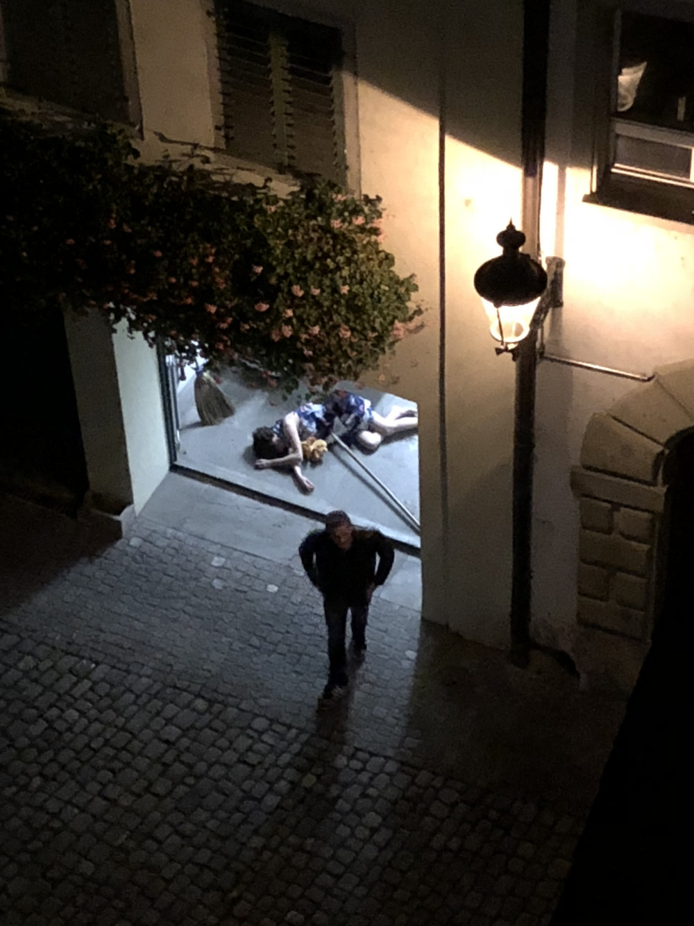 IMG 3923
