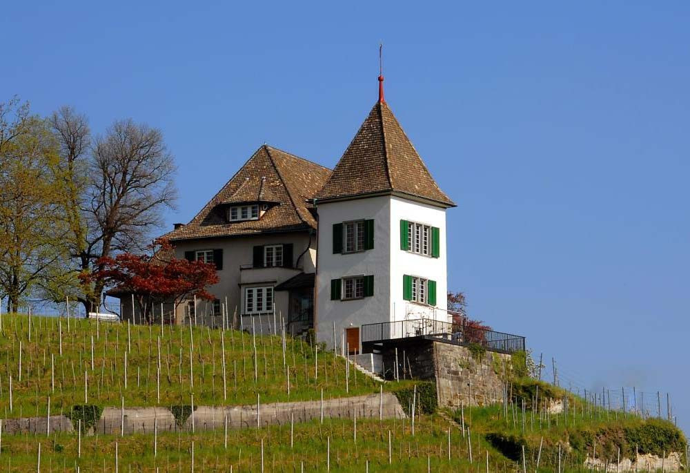 Zh turmgut