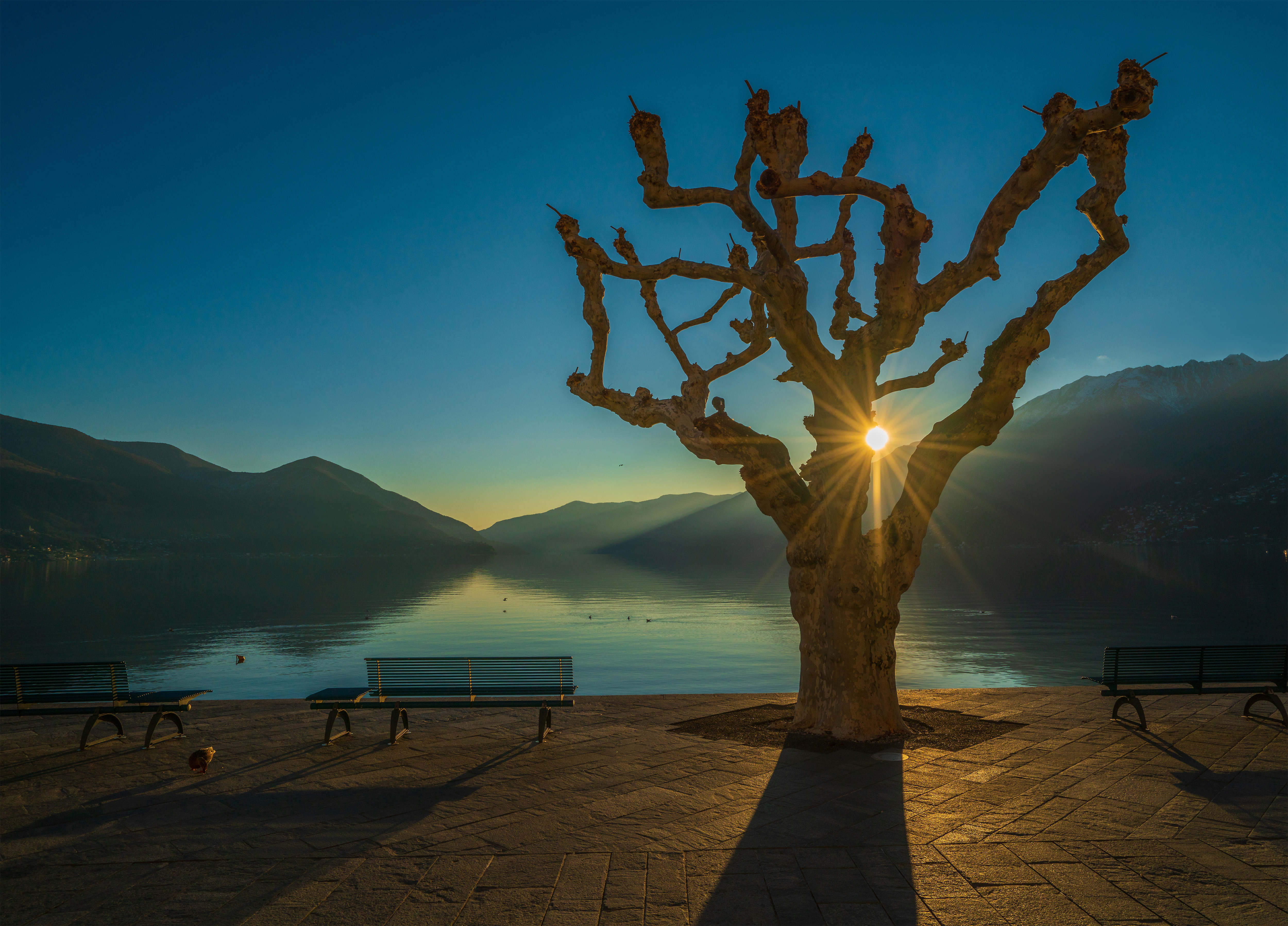 Depositphotos 239387822 XL