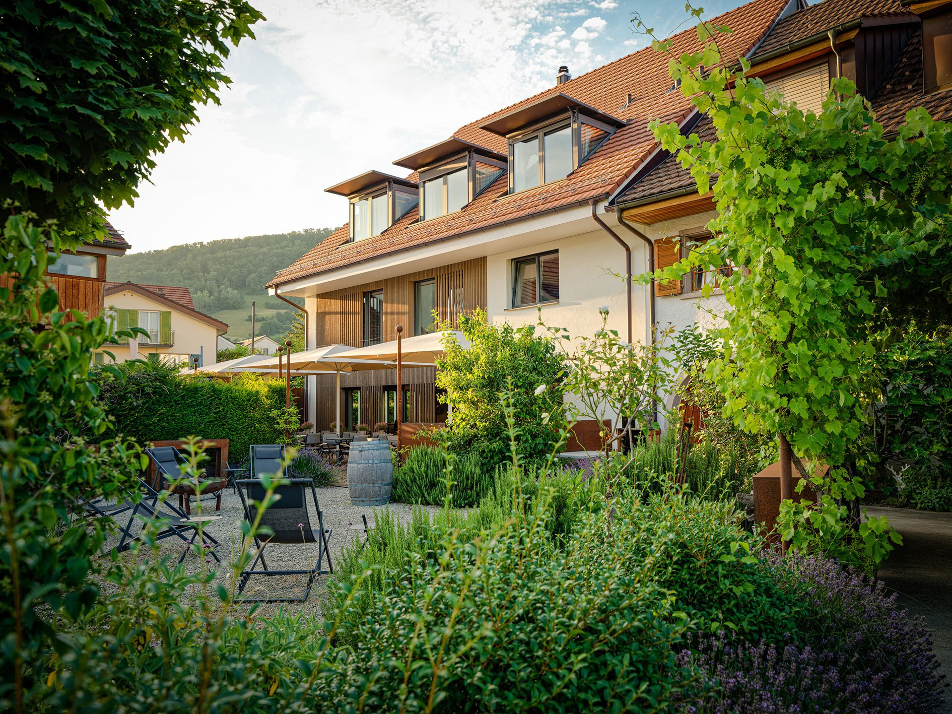 Hirschen erlinsbach 05