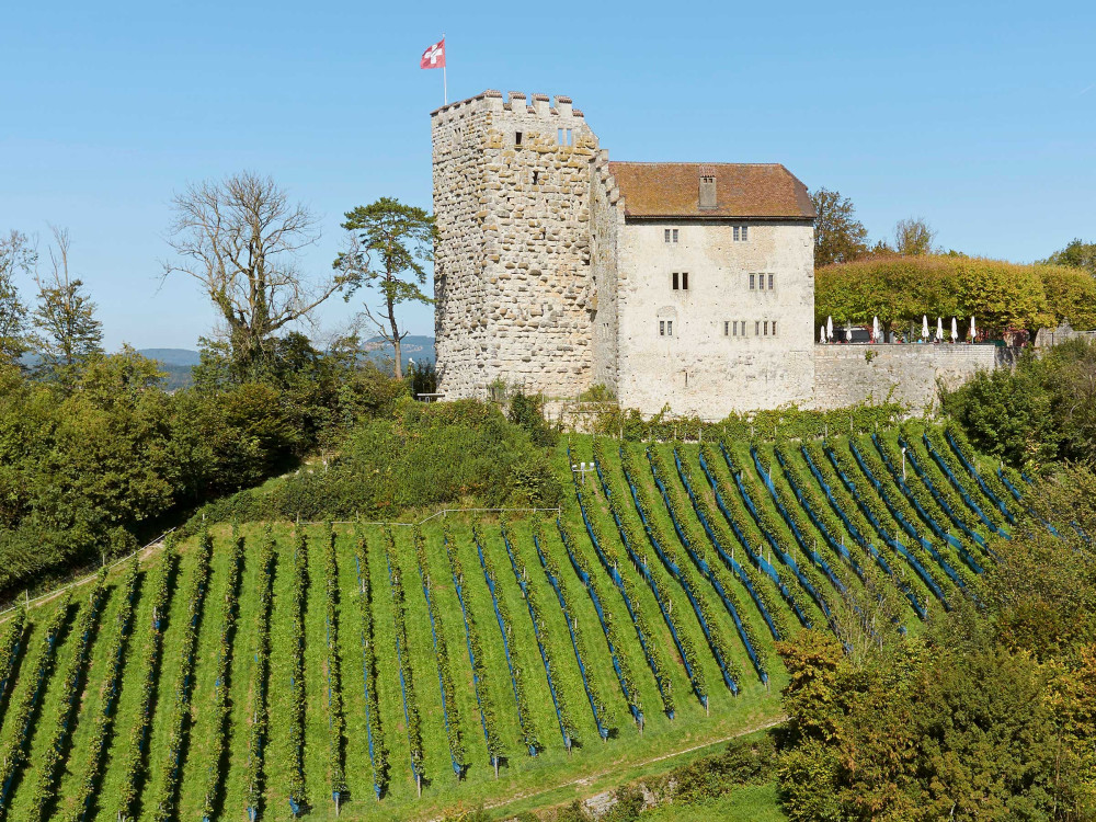 Schlossrestaurant Habsburg