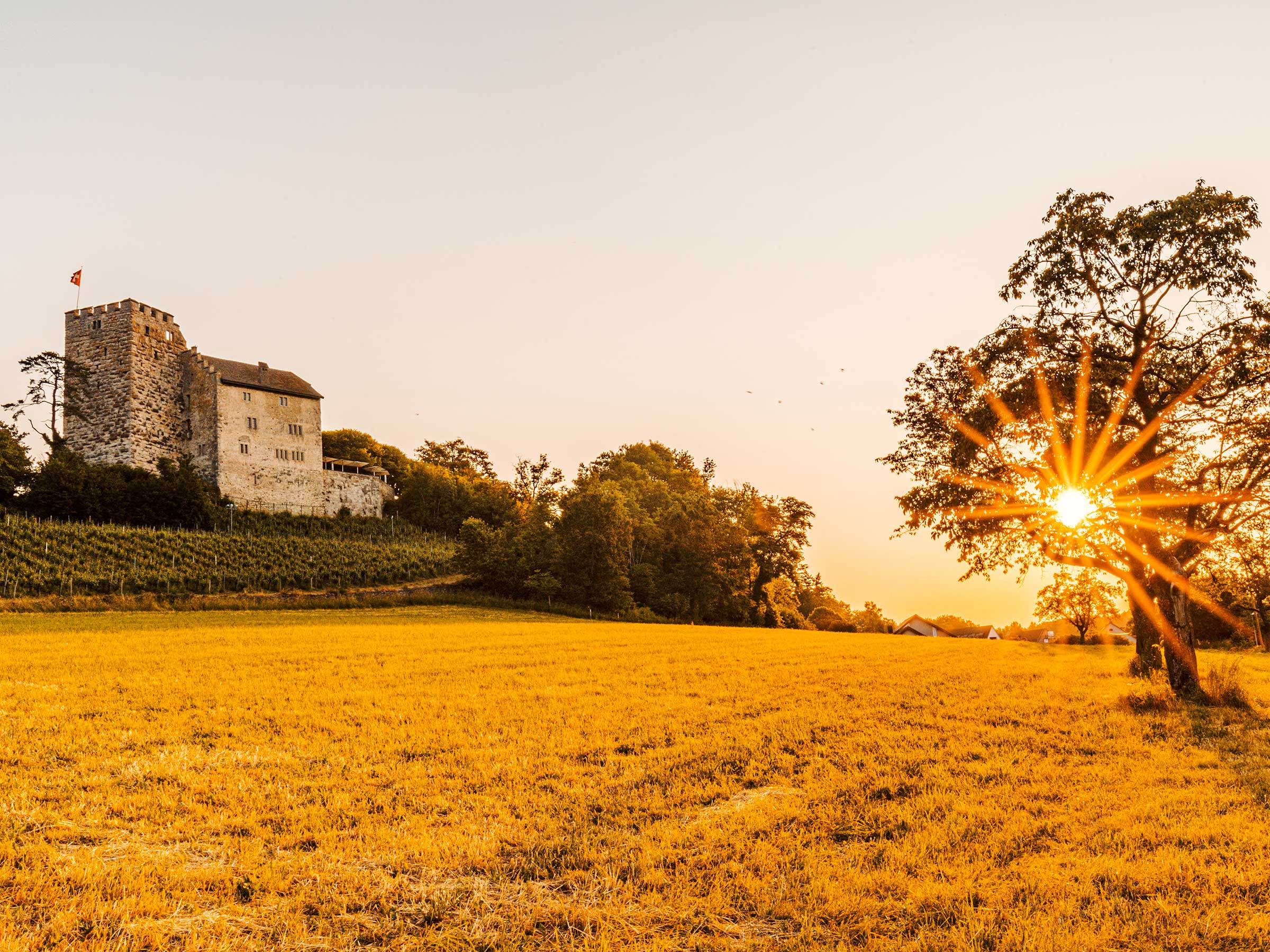 Denlo production location habsburg 6