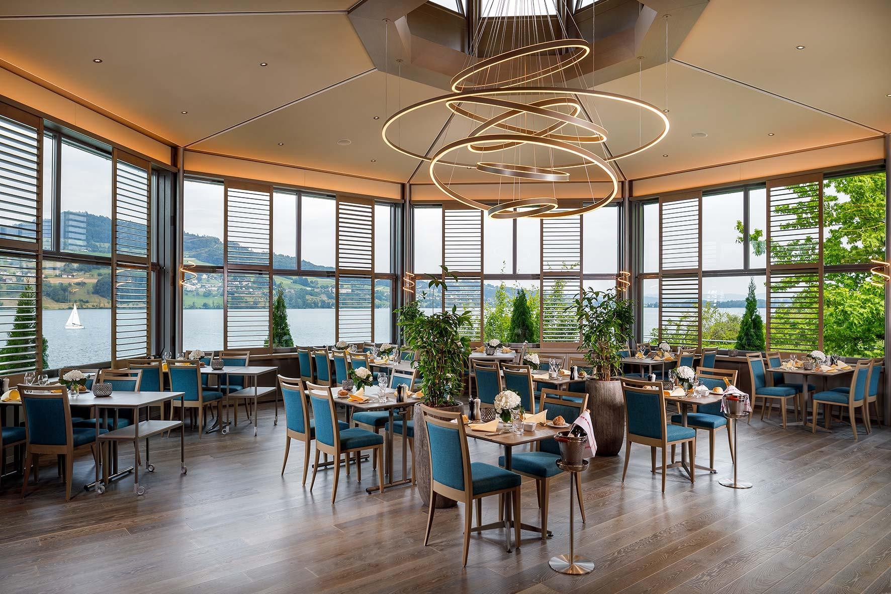 Ag meisterschwanden delphin 04